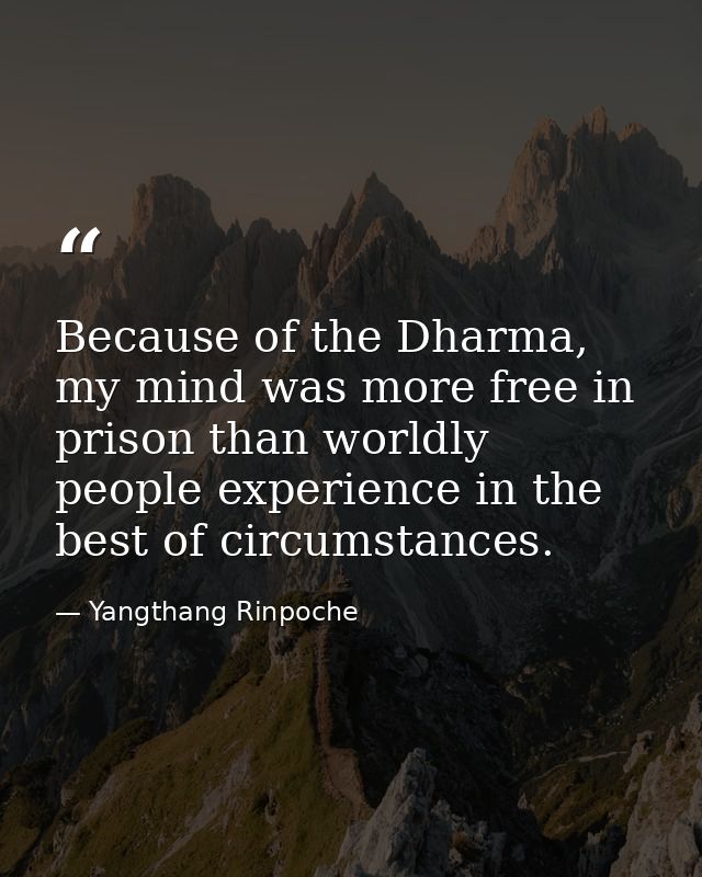 Because of the Dharma, my mind was more free in prison than worldly people experience in the best of circumstances. — Yangthang Rinpoche