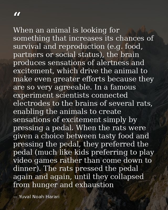 When an animal is looking for something that increases its chances of survival and reproduction (e.g. food, partners or  — Yuval Noah Harari