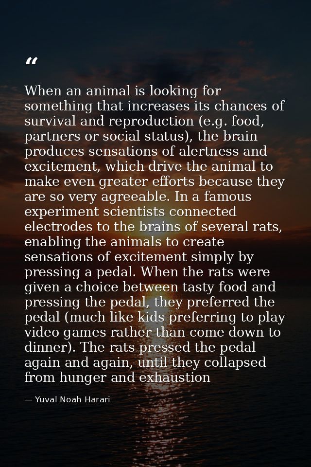 When an animal is looking for something that increases its chances of survival and reproduction (e.g. food, partners or  — Yuval Noah Harari