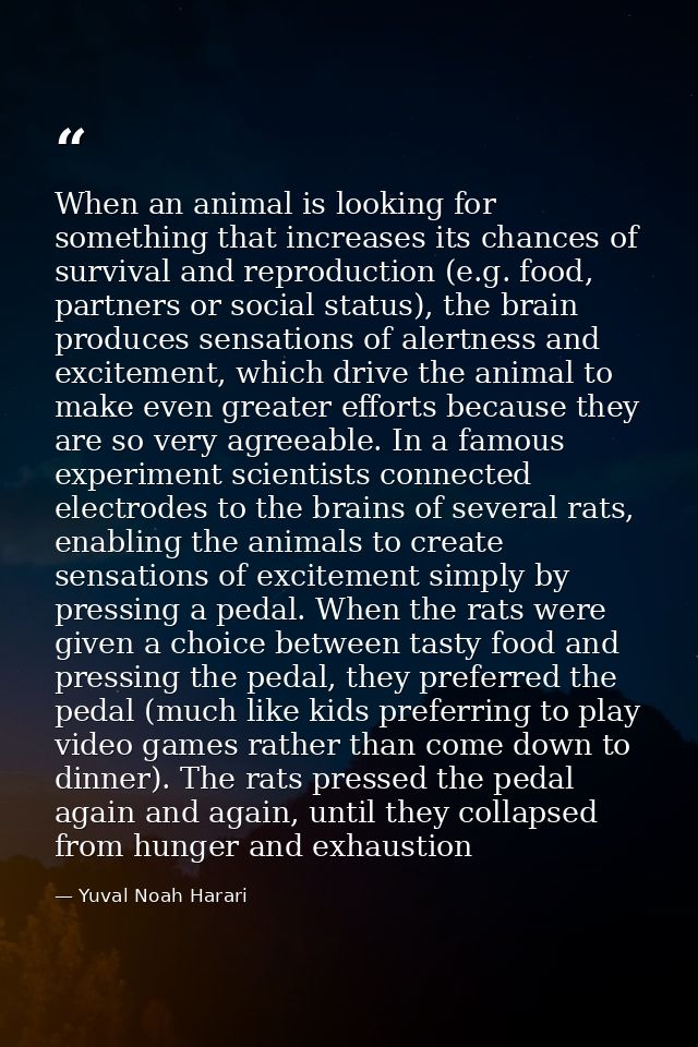 When an animal is looking for something that increases its chances of survival and reproduction (e.g. food, partners or  — Yuval Noah Harari