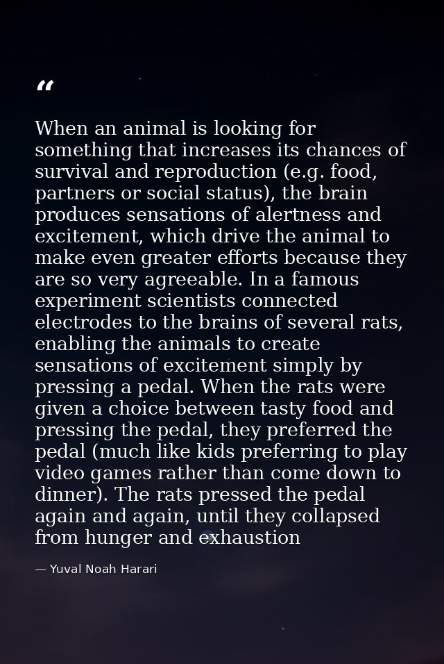 When an animal is looking for something that increases its chances of survival and reproduction (e.g. food, partners or  — Yuval Noah Harari