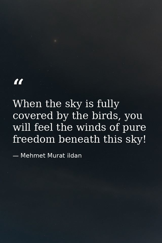 When the sky is fully covered by the birds, you will feel the winds of pure freedom beneath this sky! — Mehmet Murat ildan