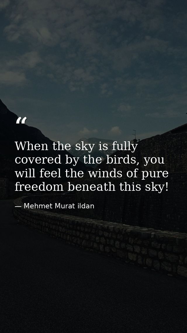 When the sky is fully covered by the birds, you will feel the winds of pure freedom beneath this sky! — Mehmet Murat ildan
