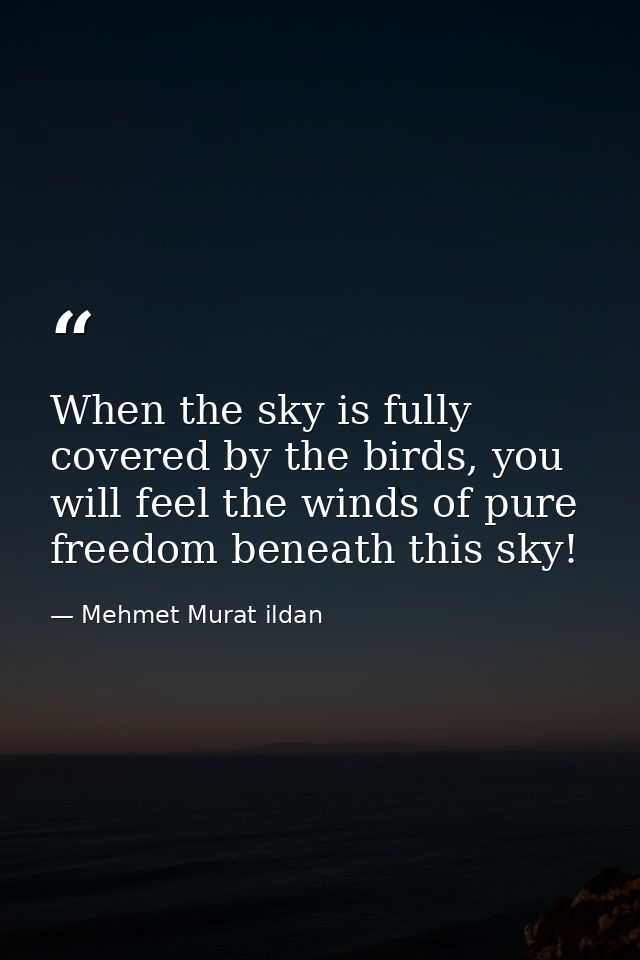 When the sky is fully covered by the birds, you will feel the winds of pure freedom beneath this sky! — Mehmet Murat ildan