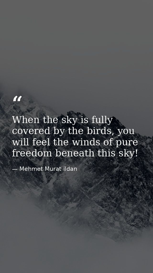 When the sky is fully covered by the birds, you will feel the winds of pure freedom beneath this sky! — Mehmet Murat ildan