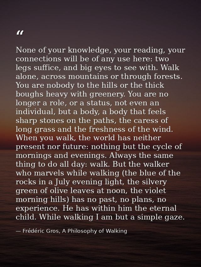 None of your knowledge, your reading, your connections will be of any use here: two legs suffice, and big eyes to see wi — Frédéric Gros, A Philosophy of Walking