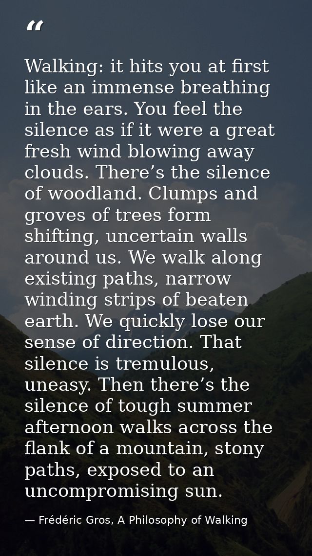 Walking: it hits you at first like an immense breathing in the ears. You feel the silence as if it were a great fresh wi — Frédéric Gros, A Philosophy of Walking
