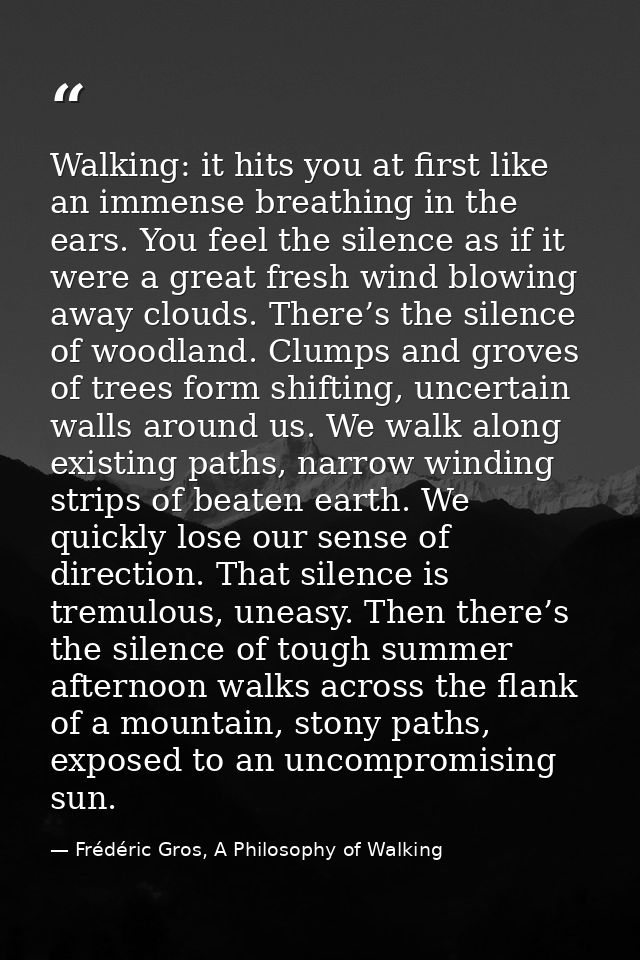 Walking: it hits you at first like an immense breathing in the ears. You feel the silence as if it were a great fresh wi — Frédéric Gros, A Philosophy of Walking