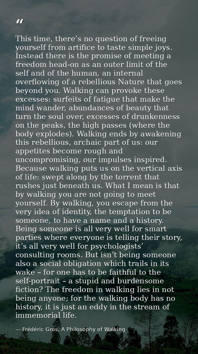 This time, there’s no question of freeing yourself from artifice to taste simple joys. Instead there is the promise of m — Frédéric Gros, A Philosophy of Walking