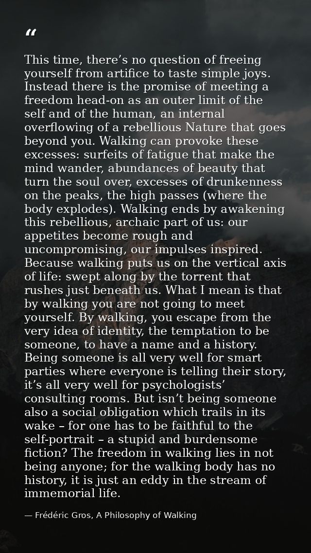 This time, there’s no question of freeing yourself from artifice to taste simple joys. Instead there is the promise of m — Frédéric Gros, A Philosophy of Walking