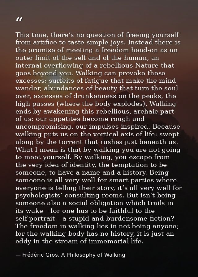This time, there’s no question of freeing yourself from artifice to taste simple joys. Instead there is the promise of m — Frédéric Gros, A Philosophy of Walking