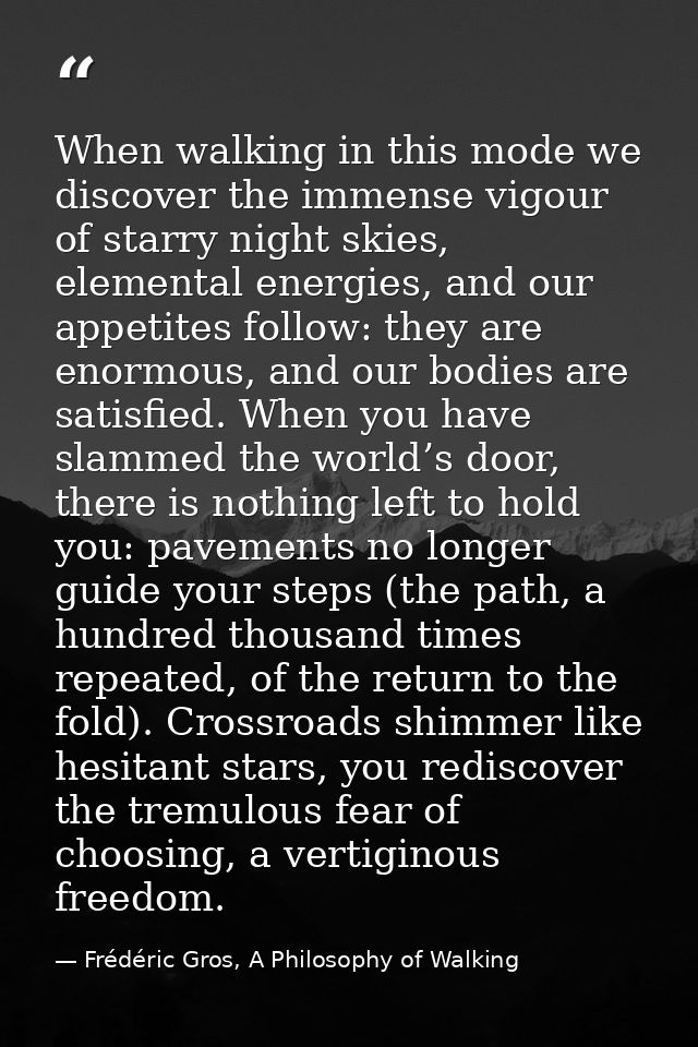 When walking in this mode we discover the immense vigour of starry night skies, elemental energies, and our appetites fo — Frédéric Gros, A Philosophy of Walking