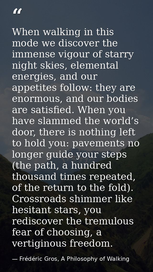 When walking in this mode we discover the immense vigour of starry night skies, elemental energies, and our appetites fo — Frédéric Gros, A Philosophy of Walking