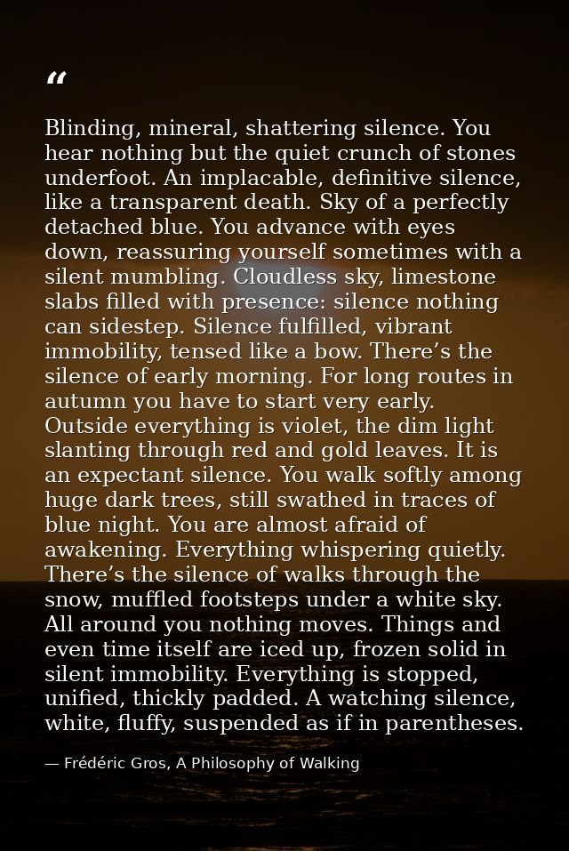 Blinding, mineral, shattering silence. You hear nothing but the quiet crunch of stones underfoot. An implacable, definit — Frédéric Gros, A Philosophy of Walking