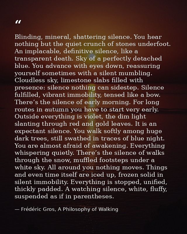 Blinding, mineral, shattering silence. You hear nothing but the quiet crunch of stones underfoot. An implacable, definit — Frédéric Gros, A Philosophy of Walking