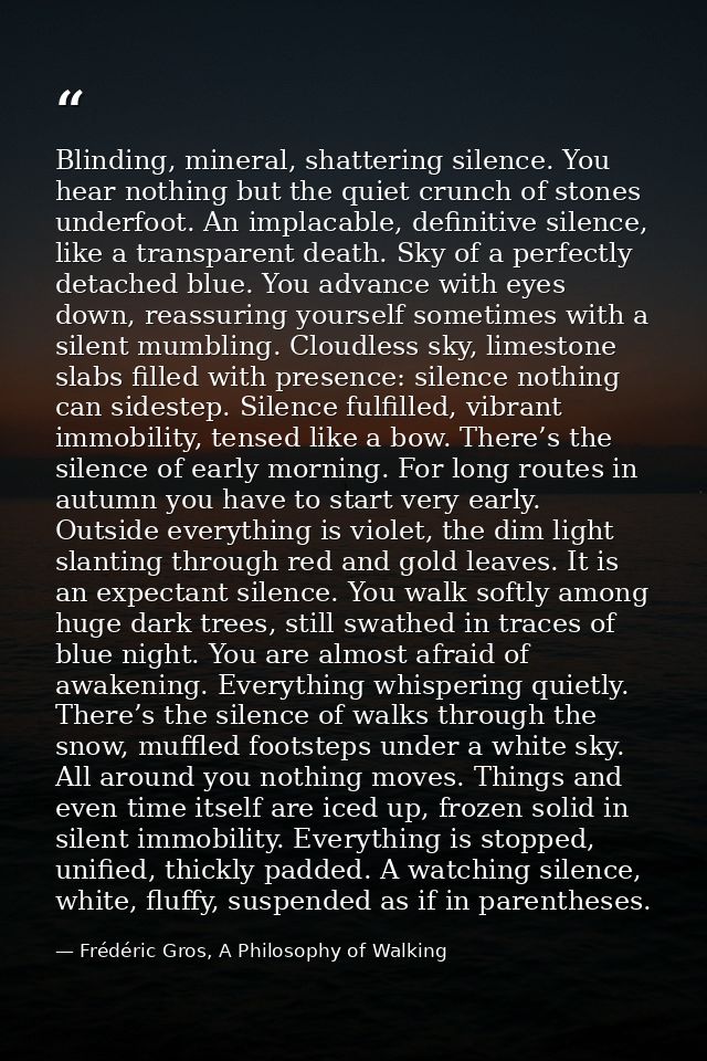 Blinding, mineral, shattering silence. You hear nothing but the quiet crunch of stones underfoot. An implacable, definit — Frédéric Gros, A Philosophy of Walking