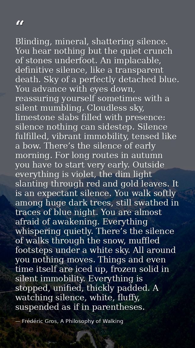 Blinding, mineral, shattering silence. You hear nothing but the quiet crunch of stones underfoot. An implacable, definit — Frédéric Gros, A Philosophy of Walking