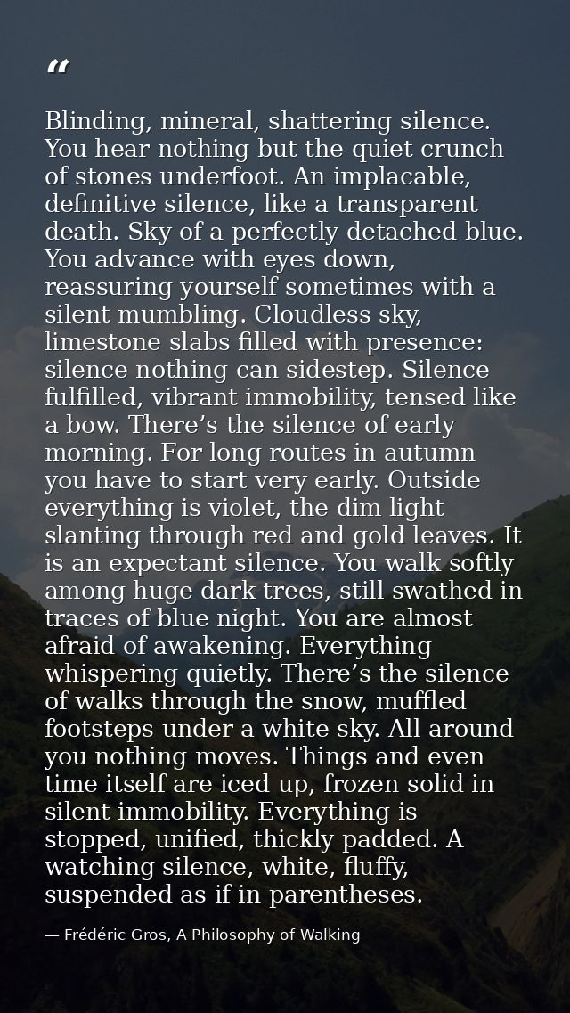 Blinding, mineral, shattering silence. You hear nothing but the quiet crunch of stones underfoot. An implacable, definit — Frédéric Gros, A Philosophy of Walking