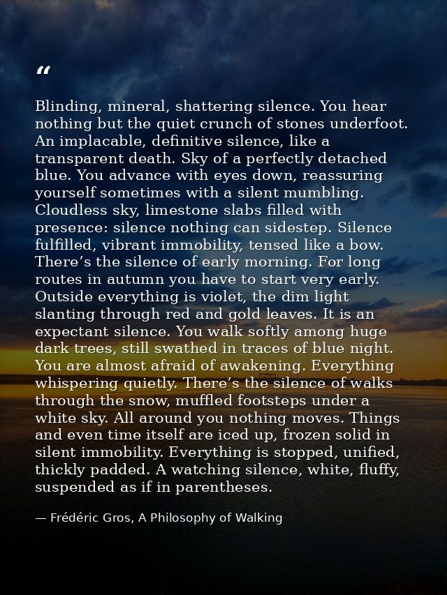 Blinding, mineral, shattering silence. You hear nothing but the quiet crunch of stones underfoot. An implacable, definit — Frédéric Gros, A Philosophy of Walking
