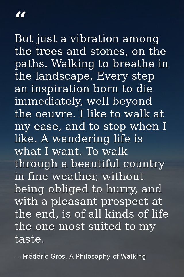 But just a vibration among the trees and stones, on the paths. Walking to breathe in the landscape. Every step an inspir — Frédéric Gros, A Philosophy of Walking