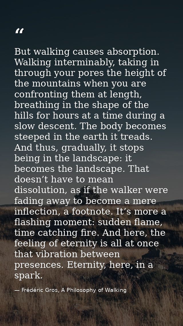 But walking causes absorption. Walking interminably, taking in through your pores the height of the mountains when you a — Frédéric Gros, A Philosophy of Walking