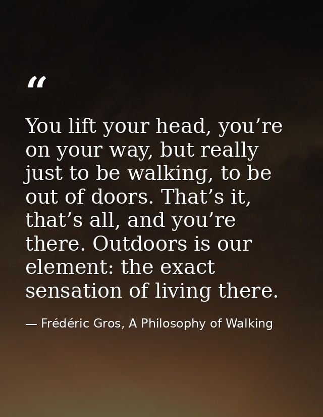 You lift your head, you’re on your way, but really just to be walking, to be out of doors. That’s it, that’s all, and yo — Frédéric Gros, A Philosophy of Walking