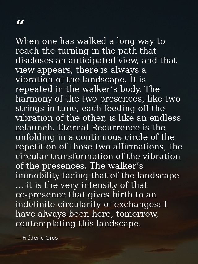 When one has walked a long way to reach the turning in the path that discloses an anticipated view, and that view appear — Frédéric Gros