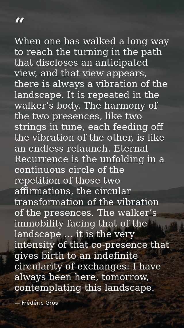When one has walked a long way to reach the turning in the path that discloses an anticipated view, and that view appear — Frédéric Gros