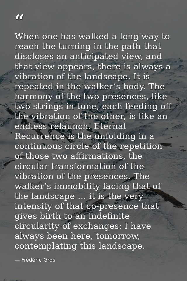 When one has walked a long way to reach the turning in the path that discloses an anticipated view, and that view appear — Frédéric Gros