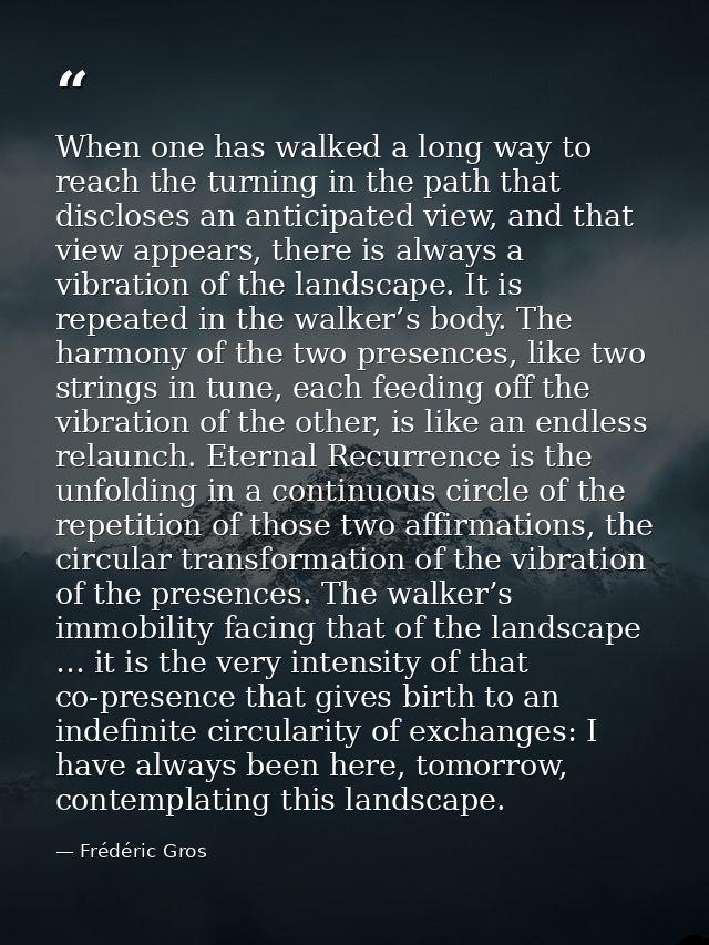 When one has walked a long way to reach the turning in the path that discloses an anticipated view, and that view appear — Frédéric Gros