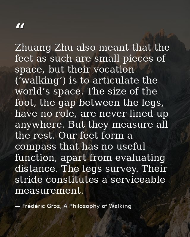 Zhuang Zhu also meant that the feet as such are small pieces of space, but their vocation (‘walking’) is to articulate t — Frédéric Gros, A Philosophy of Walking
