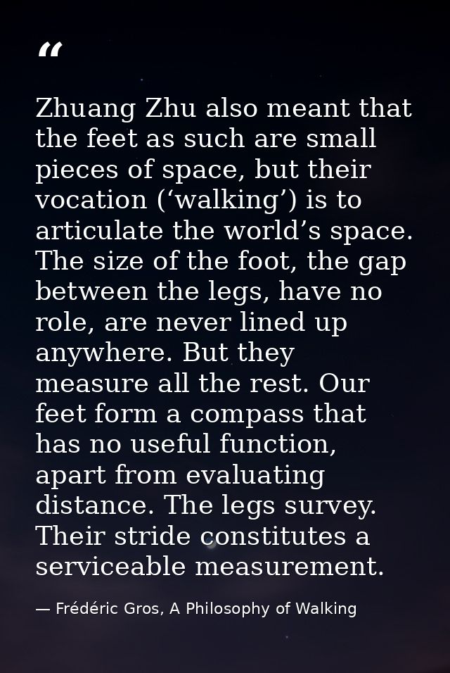 Zhuang Zhu also meant that the feet as such are small pieces of space, but their vocation (‘walking’) is to articulate t — Frédéric Gros, A Philosophy of Walking