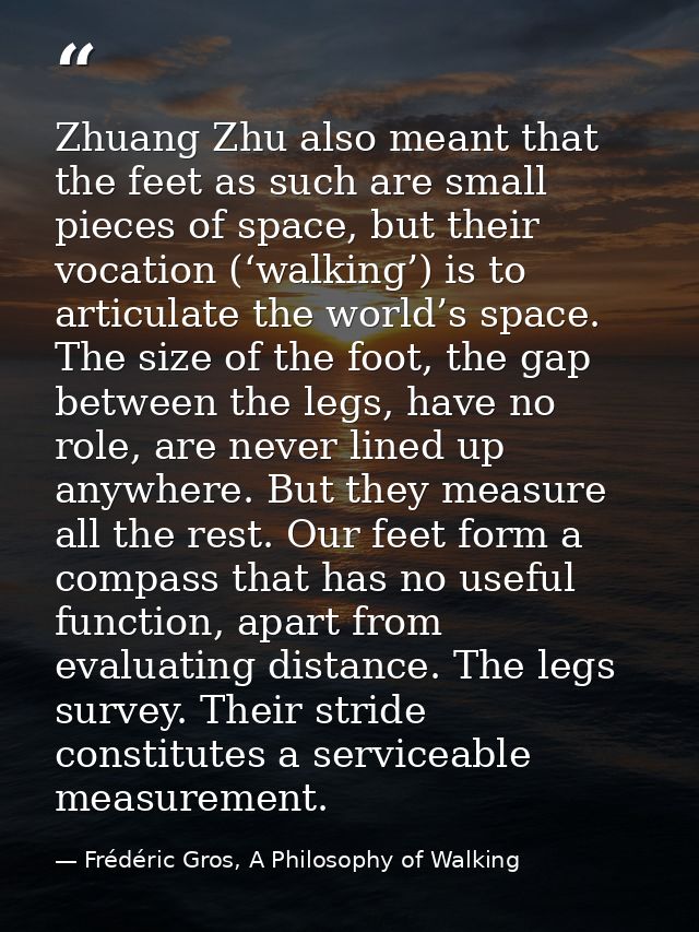 Zhuang Zhu also meant that the feet as such are small pieces of space, but their vocation (‘walking’) is to articulate t — Frédéric Gros, A Philosophy of Walking