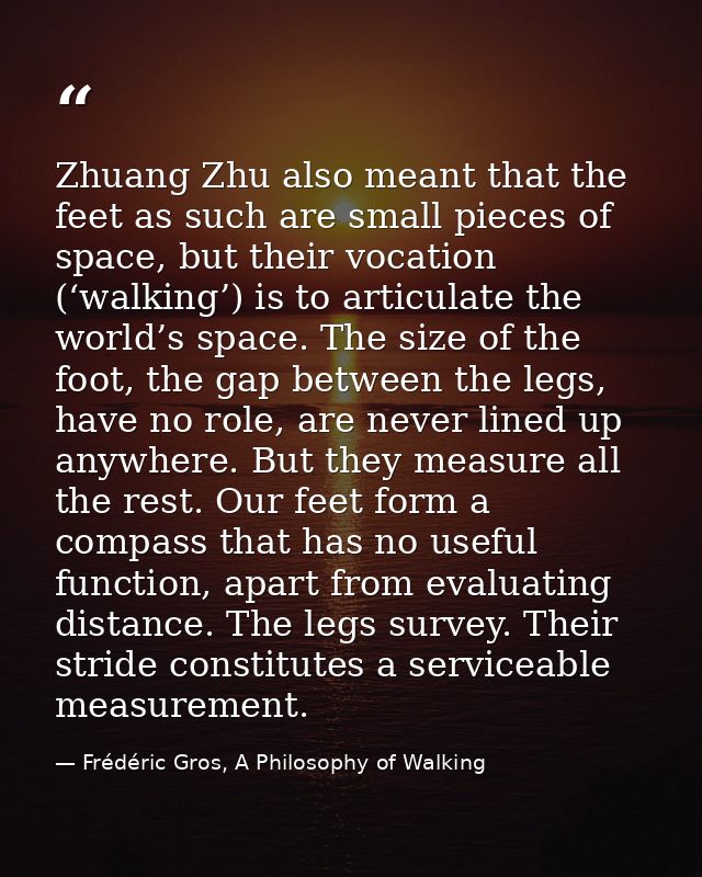 Zhuang Zhu also meant that the feet as such are small pieces of space, but their vocation (‘walking’) is to articulate t — Frédéric Gros, A Philosophy of Walking