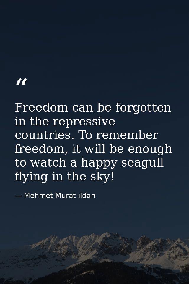 Freedom can be forgotten in the repressive countries. To remember freedom, it will be enough to watch a happy seagull fl — Mehmet Murat ildan
