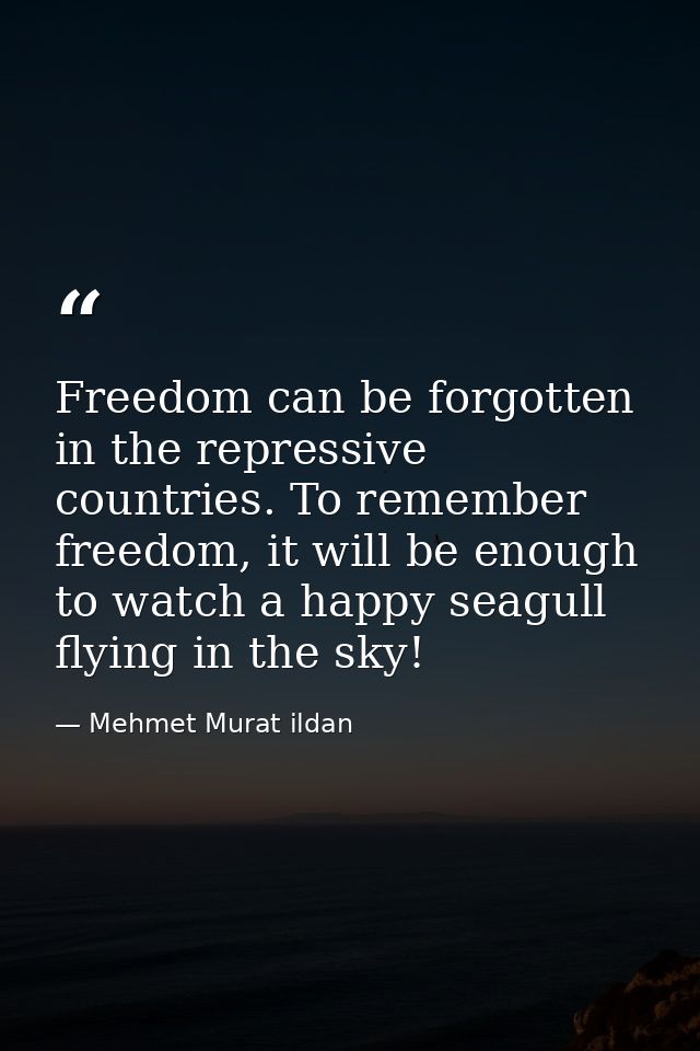 Freedom can be forgotten in the repressive countries. To remember freedom, it will be enough to watch a happy seagull fl — Mehmet Murat ildan