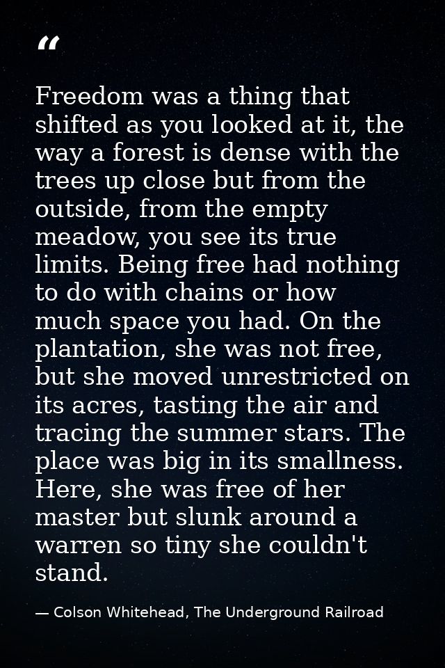 Freedom was a thing that shifted as you looked at it, the way a forest is dense with the trees up close but from the out — Colson Whitehead, The Underground Railroad