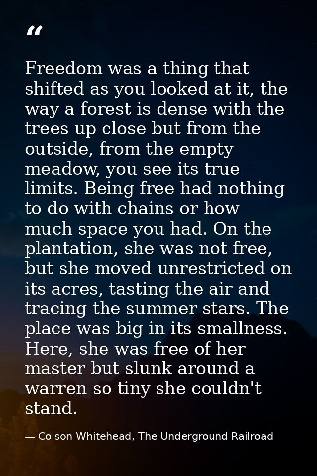 Freedom was a thing that shifted as you looked at it, the way a forest is dense with the trees up close but from the out — Colson Whitehead, The Underground Railroad