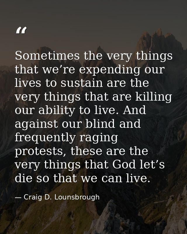 Sometimes the very things that we’re expending our lives to sustain are the very things that are killing our ability to  — Craig D. Lounsbrough