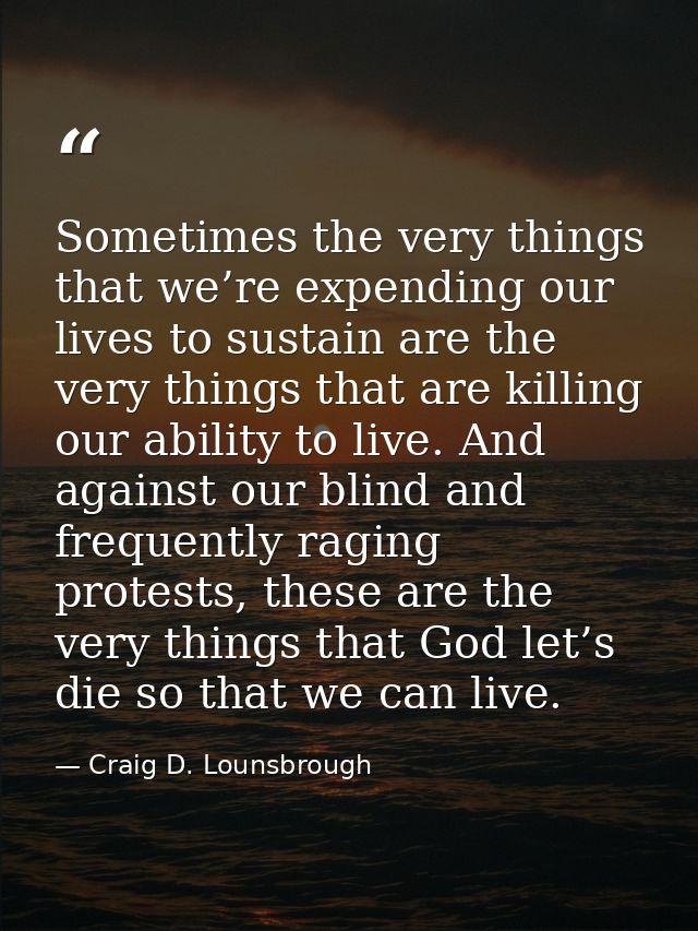 Sometimes the very things that we’re expending our lives to sustain are the very things that are killing our ability to  — Craig D. Lounsbrough