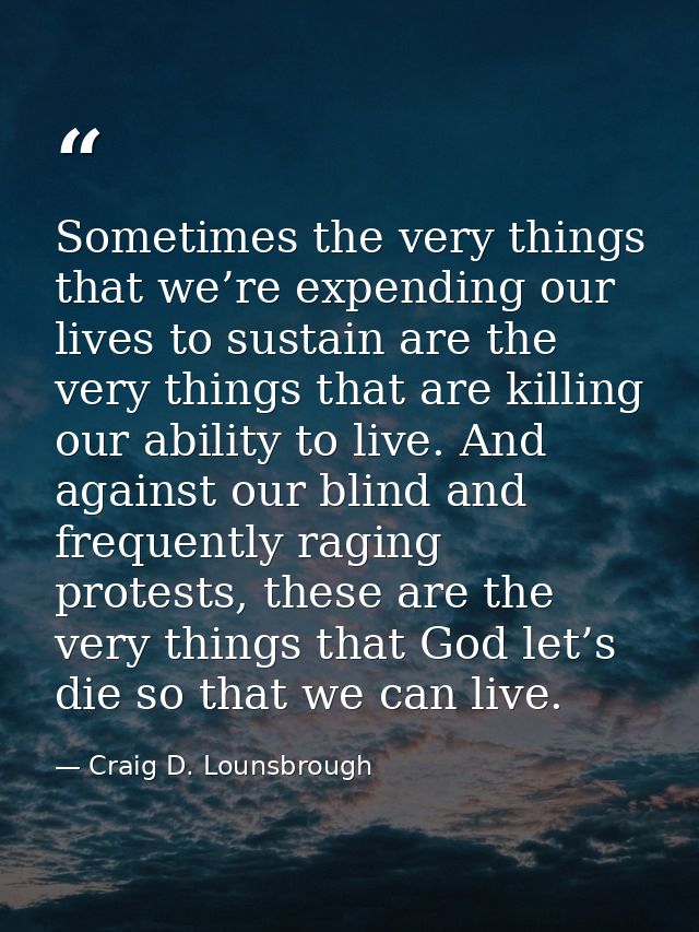 Sometimes the very things that we’re expending our lives to sustain are the very things that are killing our ability to  — Craig D. Lounsbrough