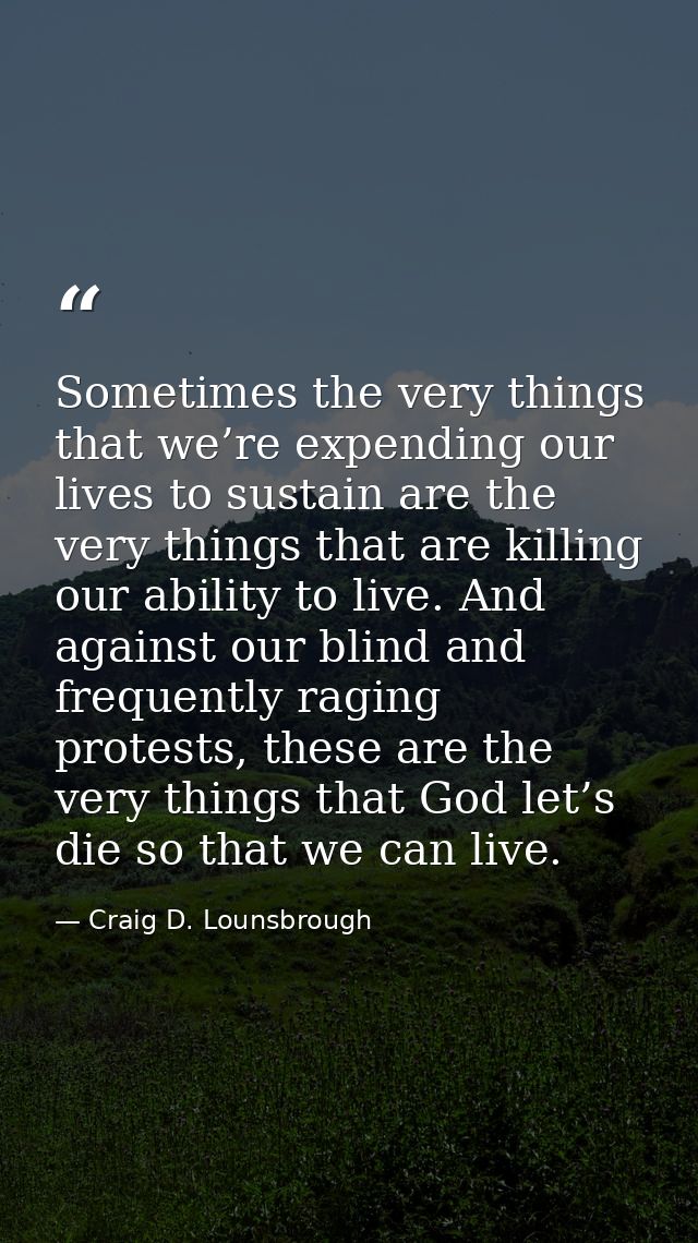 Sometimes the very things that we’re expending our lives to sustain are the very things that are killing our ability to  — Craig D. Lounsbrough