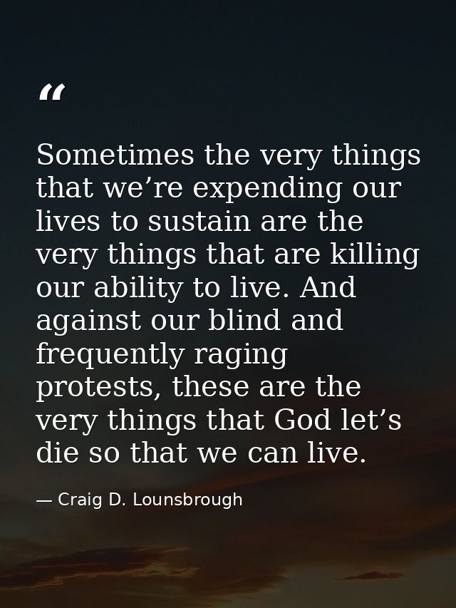 Sometimes the very things that we’re expending our lives to sustain are the very things that are killing our ability to  — Craig D. Lounsbrough