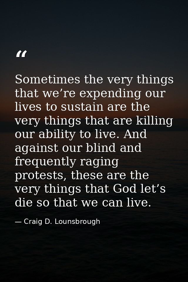 Sometimes the very things that we’re expending our lives to sustain are the very things that are killing our ability to  — Craig D. Lounsbrough