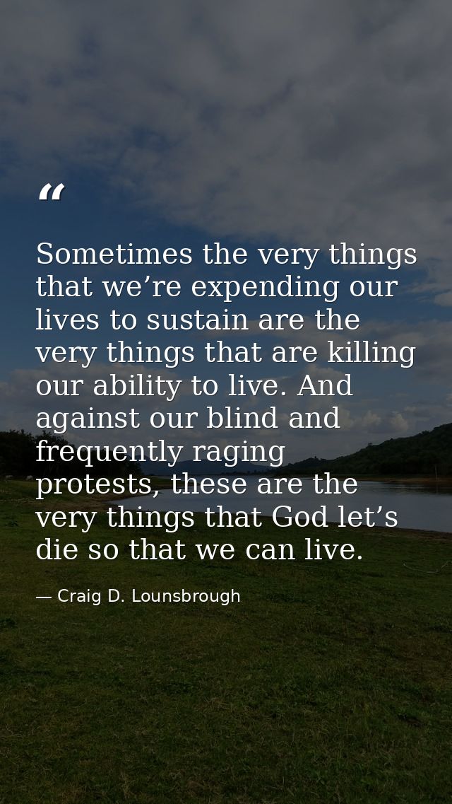Sometimes the very things that we’re expending our lives to sustain are the very things that are killing our ability to  — Craig D. Lounsbrough