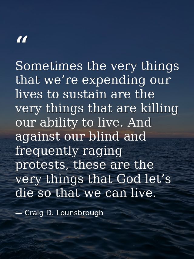 Sometimes the very things that we’re expending our lives to sustain are the very things that are killing our ability to  — Craig D. Lounsbrough
