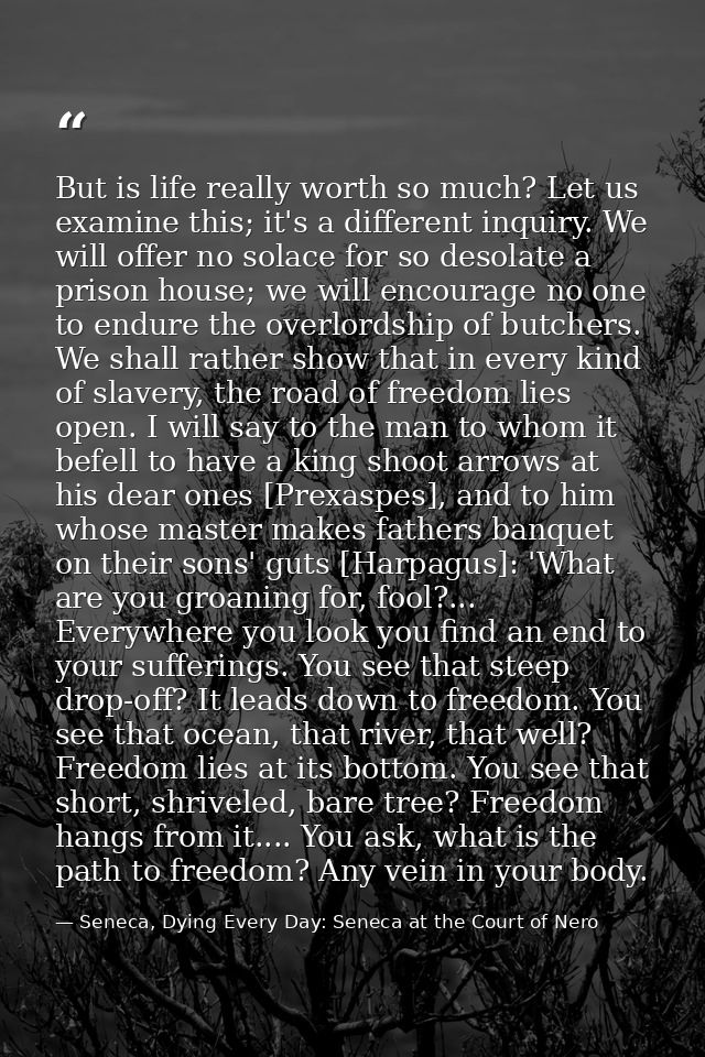 But is life really worth so much? Let us examine this; it's a different inquiry. We will offer no solace for so desolate — Seneca, Dying Every Day: Seneca at the Court of Nero