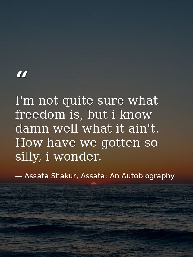 I'm not quite sure what freedom is, but i know damn well what it ain't. How have we gotten so silly, i wonder. — Assata Shakur, Assata: An Autobiography