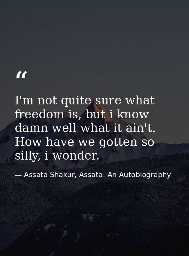 I'm not quite sure what freedom is, but i know damn well what it ain't. How have we gotten so silly, i wonder. — Assata Shakur, Assata: An Autobiography