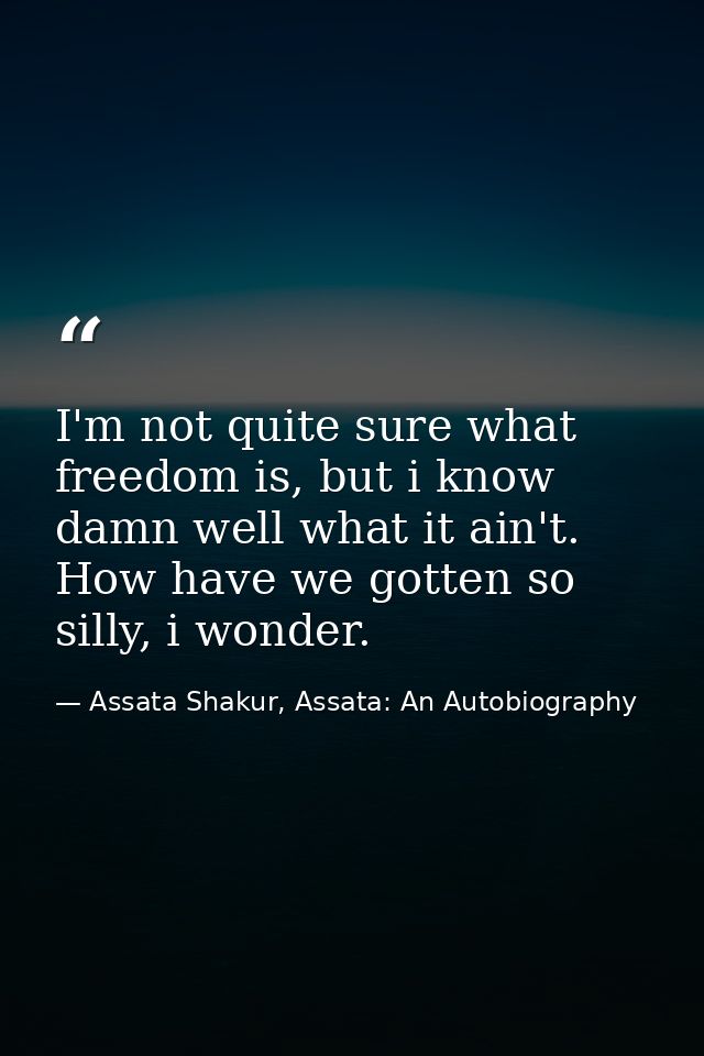 I'm not quite sure what freedom is, but i know damn well what it ain't. How have we gotten so silly, i wonder. — Assata Shakur, Assata: An Autobiography